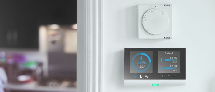 An image of a smart meter with an Octopus Energy logo in the background