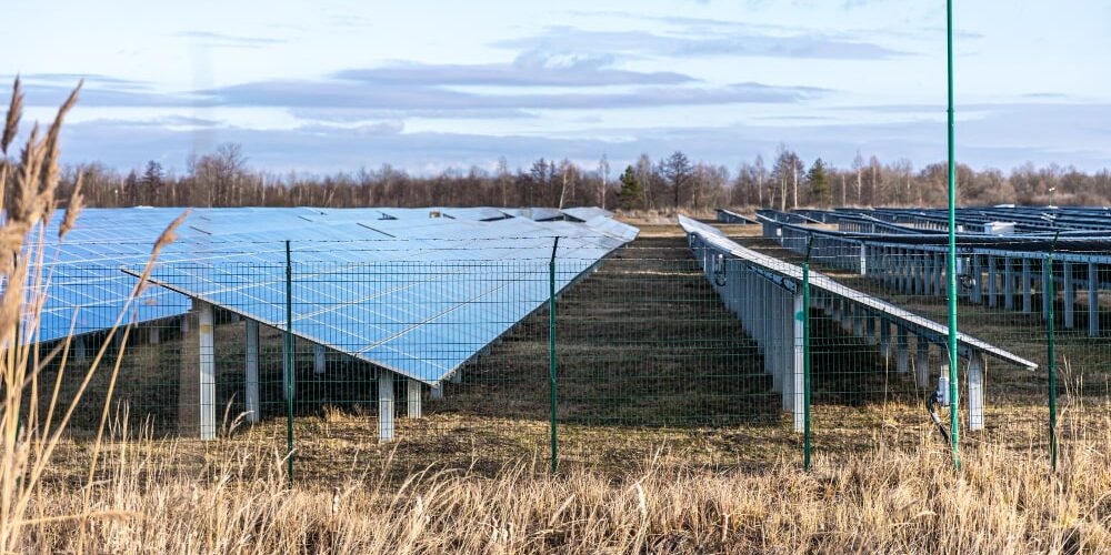 A solar farm with solar panels and a transmission network in the background